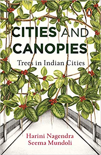 Cities canopies